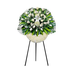 Corona  Clásica Blanca