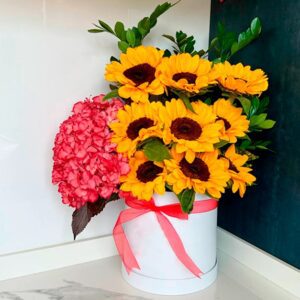 Box Girasoles Admiración