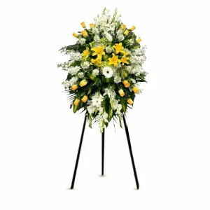 Corona Amarilla Diseño