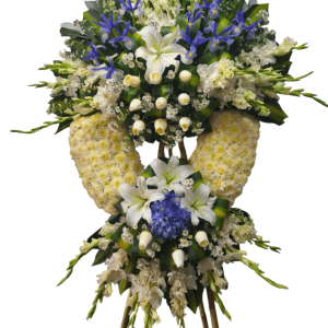 Corona Diseño Dos Tiempos Iris