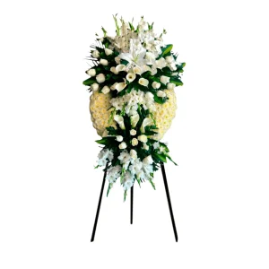 Corona Diseño 2 Tiempos Paz