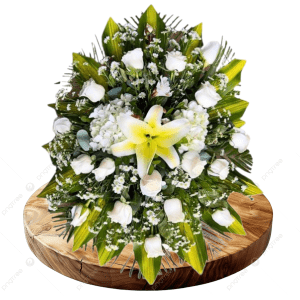 Lagrima Fúnebre Paz